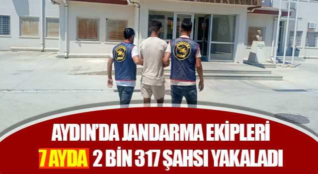 Jandarma 7 ayda 2 bin 317 şahsı yakaladı