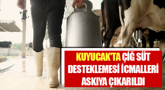 Kuyucak'ta çiğ süt desteklemesi icmalleri askıya çıkarıldı