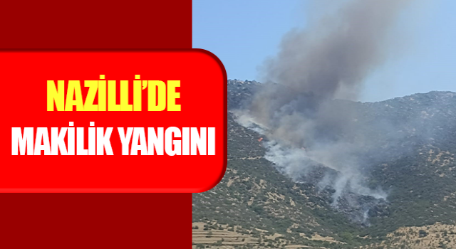 Nazilli’de makilik yangını