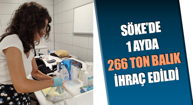 Söke’de 1 ayda 266 ton balık ihraç edildi