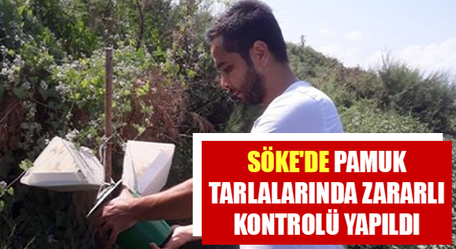 Söke'de pamuk tarlalarında zararlı kontrolü yapıldı