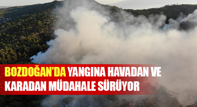 Yangına havadan ve karadan müdahale sürüyor