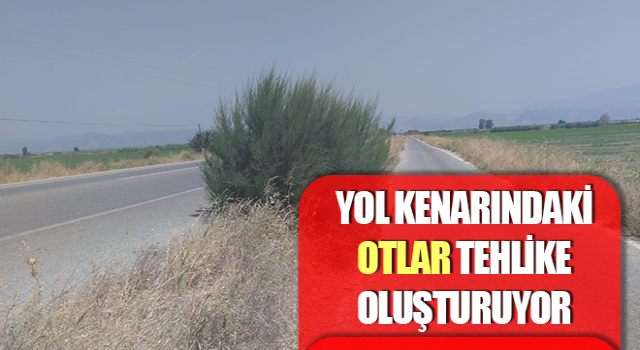 Yol kenarındaki otlar tehlike oluşturuyor