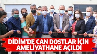 Didim’de can dostlar için ameliyathane açıldı