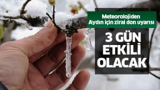 Meteorolojiden Aydın için zirai don uyarısı