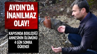 Aydın'da inanılmaz olay!