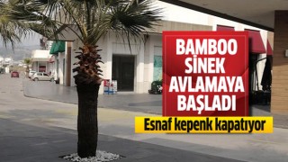 Bamboo sinek avlamaya başladı!