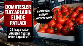 Domatesler tüccarın elinde patladı!