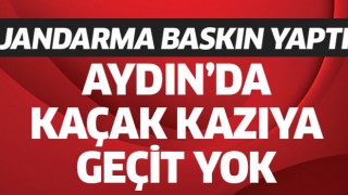 Aydın'da kaçak kazıya jandarma baskını