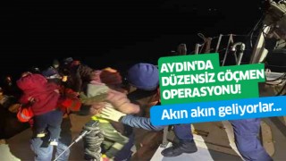 Aydın'da 40 düzensiz göçmen yakalandı