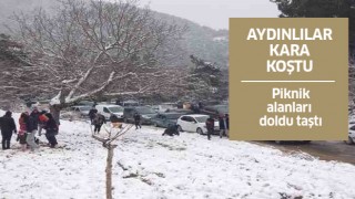 Aydın'a kar gelmeyince vatandaşlar kara gitti