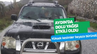 Aydın'da dolu yağışı etkili oldu