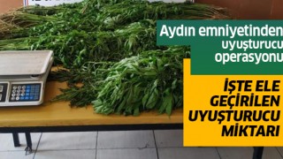 Aydın'da uyuşturucu operasyonu:2 gözaltı