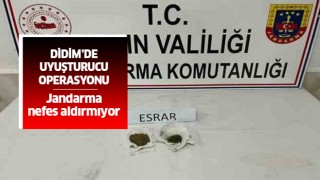 Didim'de uyuşturucu operasyonu: 1 gözaltı