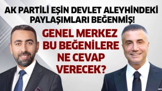 AK Partili Eşin, devlet aleyhindeki paylaşımlara beğeni atmış