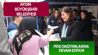 Başkan Çerçioğlu, Sultanhisar ve Atça'da fide dağıttı