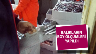 Didim'de balık boyu denetimi