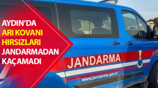 Arı kovanı hırsızları jandarmaya yakalandı