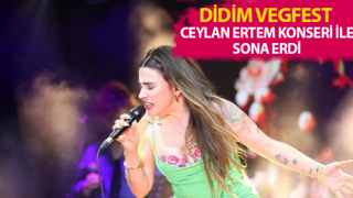 Didim Vegfest konser ile sona erdi