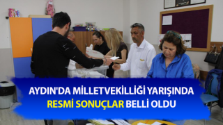 Milletvekilliği yarışında resmi sonuçlar belli oldu