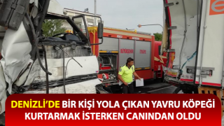 Yola çıkan yavru köpeği kurtarmak isterken canından oldu