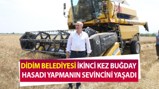 Başkan Atabay, buğday hasadına katıldı