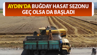 Buğday üreticileri hasat için zamanla yarışıyor