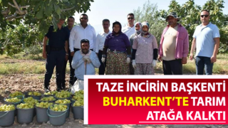 Buharkent tarımı atağa kalktı