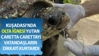 Deniz kaplumbağasını vatandaşların dikkati kurtardı
