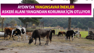 Hem doyuyorlar hem yangınlardan koruyorlar