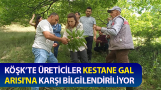 Köşk’te üreticiler bilgilendirildi