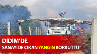 Sanayide çıkan yangın korkuttu