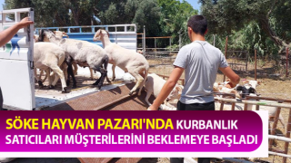 Söke Hayvan Pazarı'nda satıcılar müşterilerini bekliyor