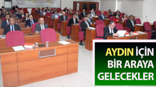 Aydın için bir araya gelecekler