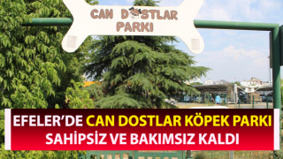 Can dostlar köpek parkı sahipsiz kaldı