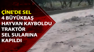 Çine'de sel