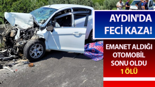 Emanet aldığı otomobil sonu oldu: 1 ölü