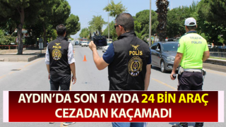 Haziran ayında trafik kazalarında 2 kişi hayatını kaybetti