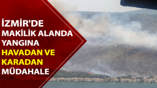 İzmir'de makilik alanda yangın çıktı