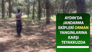 Jandarma ekipleri orman yangınlarına karşı teyakkuzda