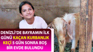 Kaçan kurbanlık keçi, 5 gün sonra boş bir evde bulundu