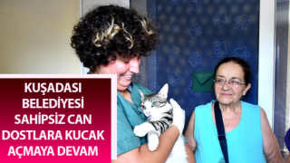 Kuşadası Belediyesi sahipsiz can dostlara kucak açmaya devam ediyor