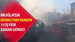 Muğla'da korkutan yangın!