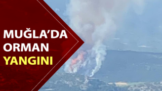 Muğla’da orman yangını