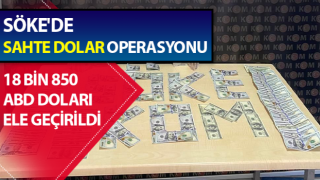 sahte dolar operasyonu