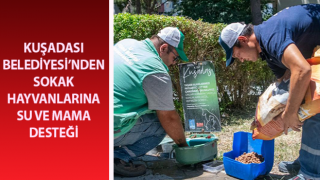 Sokak hayvanlarına su ve mama desteği