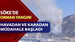 Söke’de orman yangını