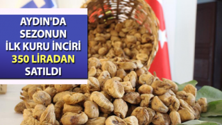 Aydın'da sezonun ilk kuru inciri 350 liradan satıldı