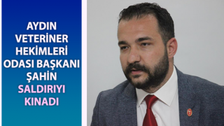 Başkan Şahin, saldırıyı kınadı