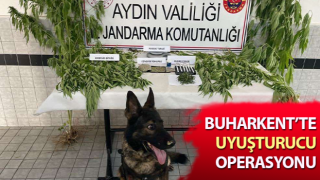 Buharkent’te uyuşturucu operasyonu